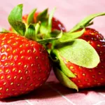 Zamieranie kwiatostanów truskawek – objawy i zwalczanie Zamieranie kwiatostanów truskawek